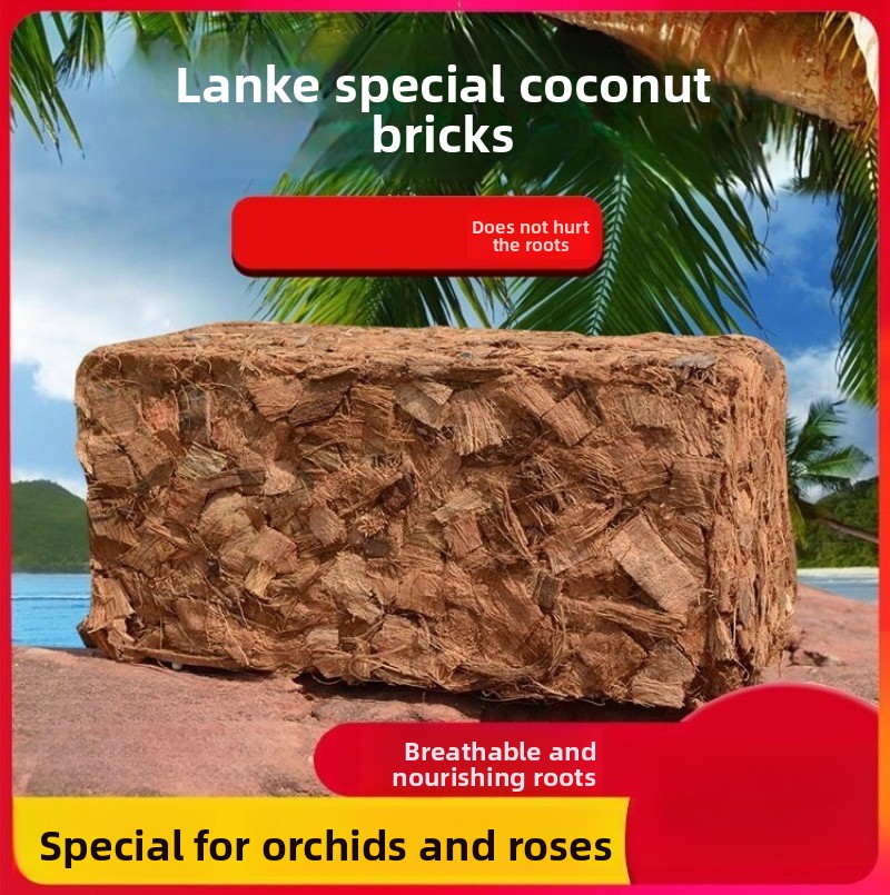 Substrate Coconut Fiber - Brique de fibre de coco avec