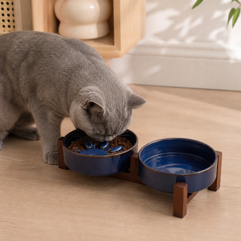 2027 Gamelle pour chat et chie - Royal Canin Food Medium avis et prix