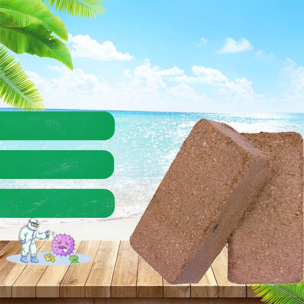 Substrat de terre de coco désh - Substrate Coconut Fiber avis et prix