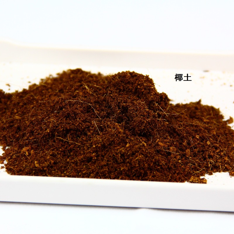 Brique de terre de coco, subst - Substrate Coconut Fiber avis et prix